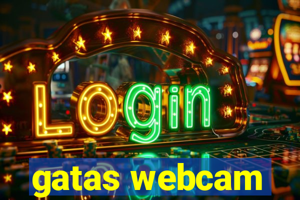 gatas webcam